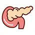 Pancreas Surgery